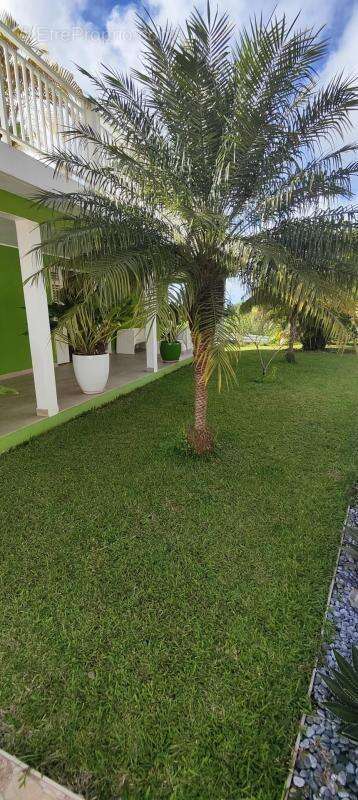 Maison à LE VAUCLIN