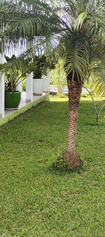 Maison à LE VAUCLIN