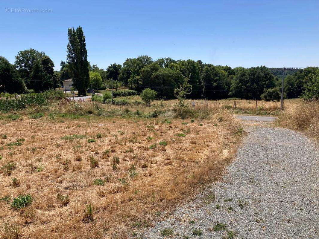 Terrain à THIVIERS