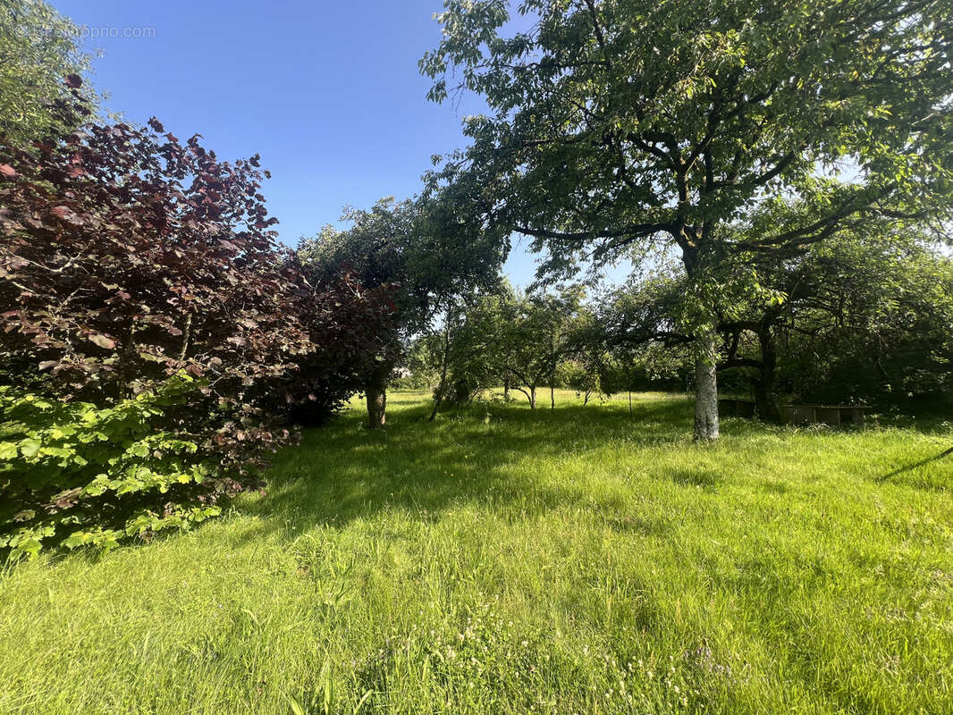 Maison à TERNUAY-MELAY-ET-SAINT-HILAIRE