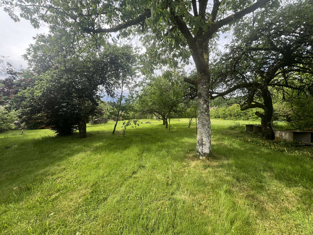 Maison à TERNUAY-MELAY-ET-SAINT-HILAIRE