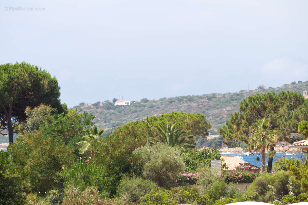 Appartement à PROPRIANO