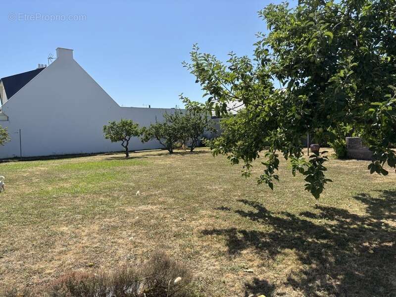 Terrain à LA TURBALLE