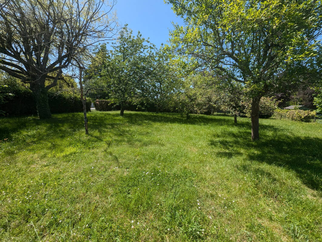 Terrain à SAVONNIERES