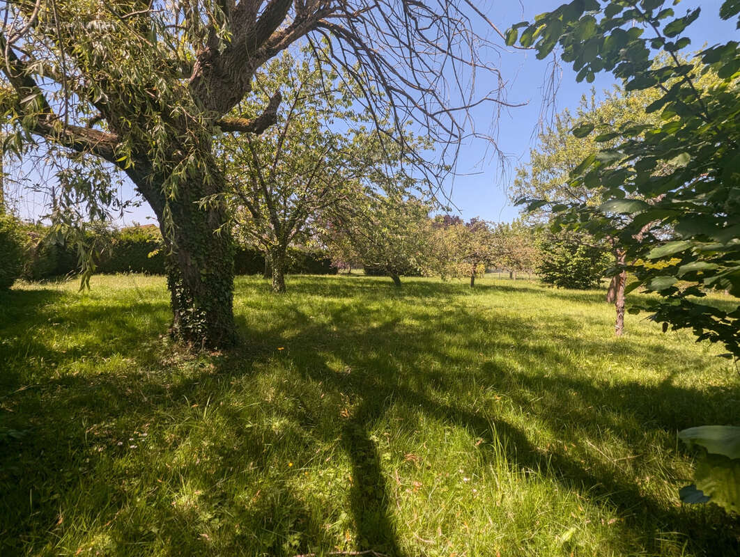 Terrain à SAVONNIERES