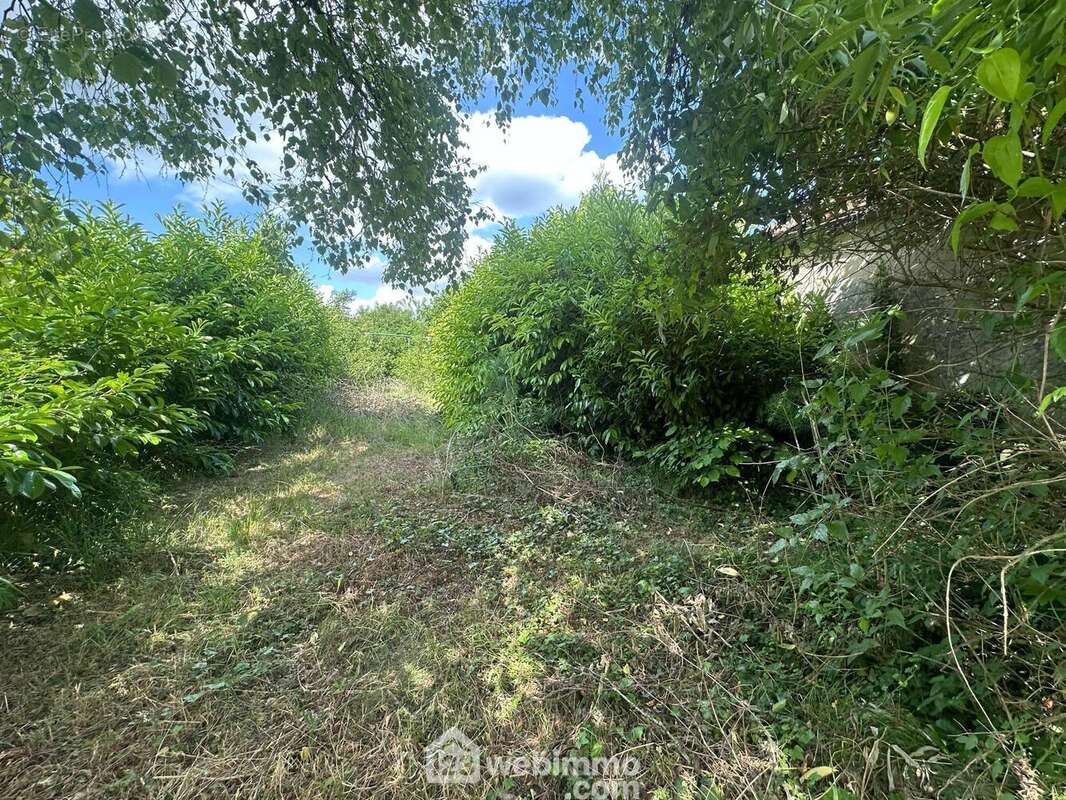 Erigée sur un terrain bien exposé de 401 m² - Maison à MARTIGNY-COURPIERRE