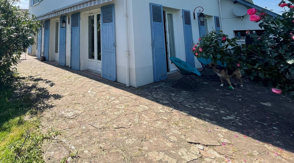 IMG_3717 - Copie - Maison à OLORON-SAINTE-MARIE