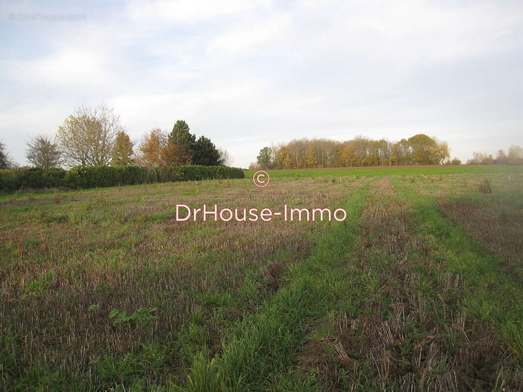 Terrain à BERSEE