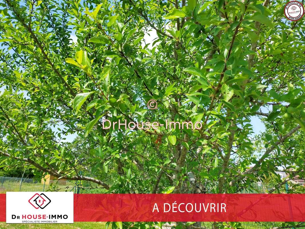 Terrain à LA ROCHE-POSAY