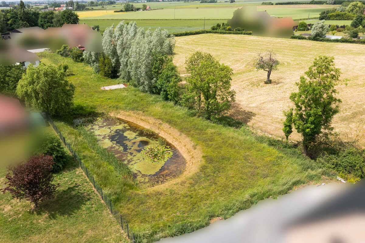 Terrain à STEENWERCK
