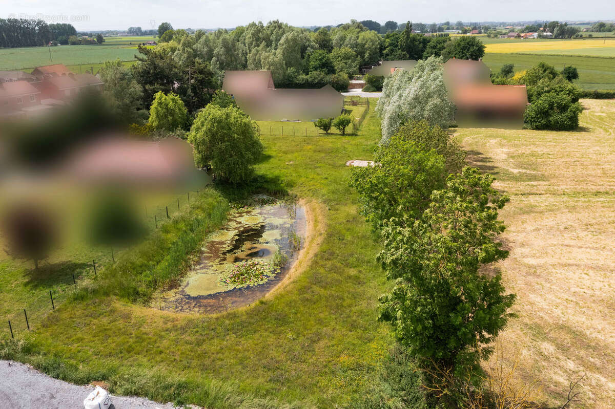 Terrain à STEENWERCK