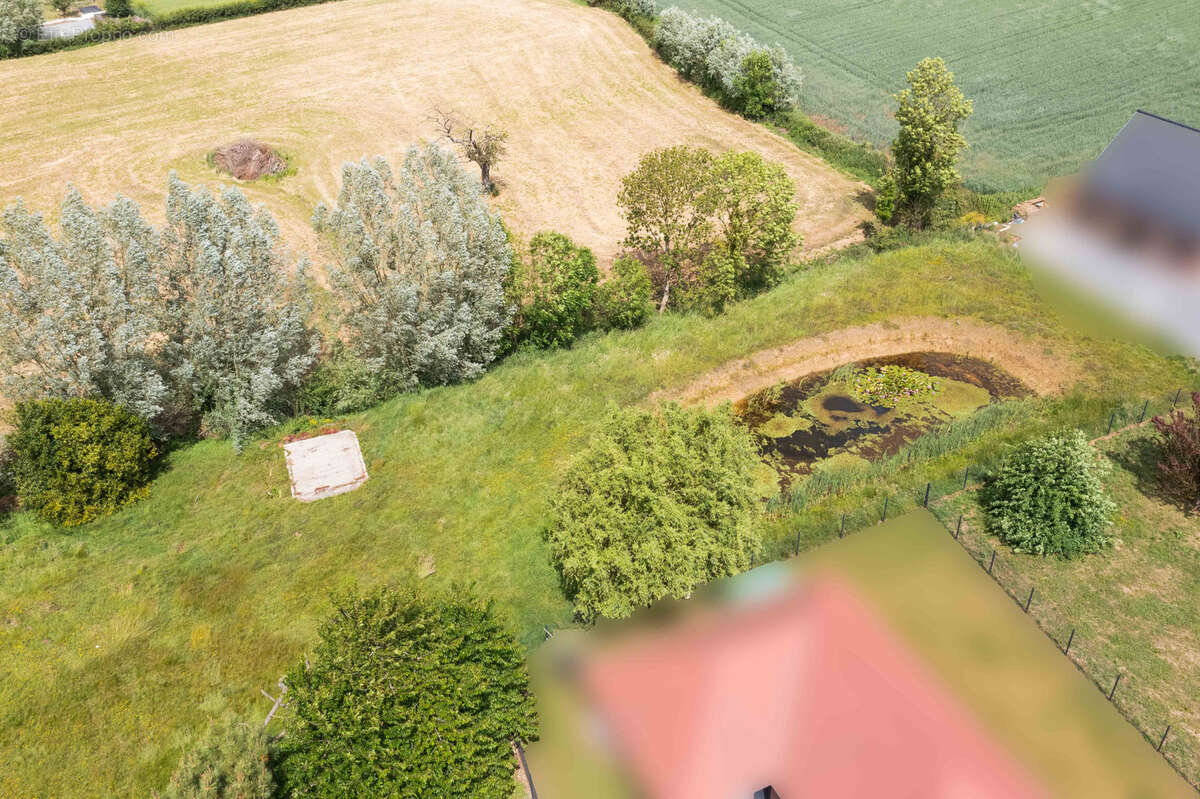 Terrain à STEENWERCK