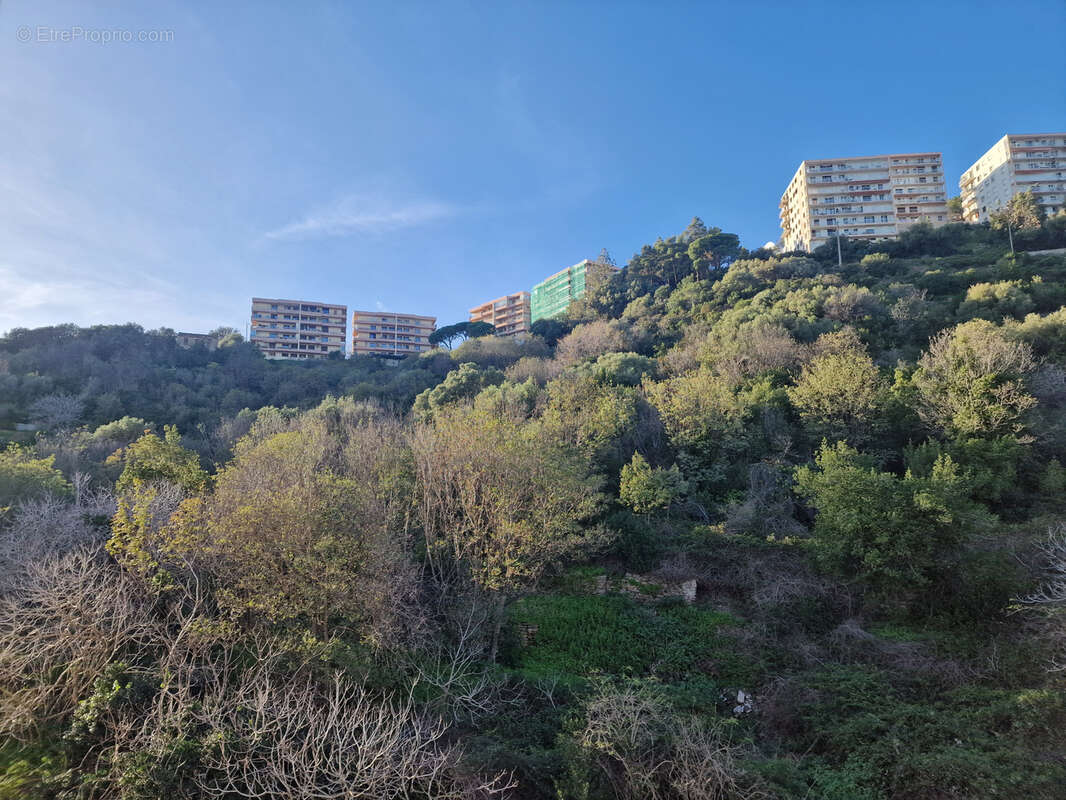 Appartement à SAN-MARTINO-DI-LOTA