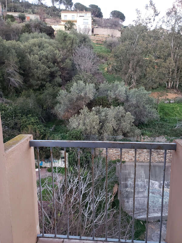 Appartement à SAN-MARTINO-DI-LOTA