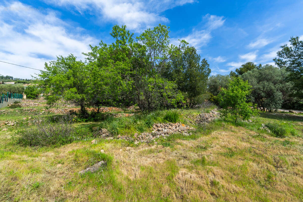 Terrain à BANDOL