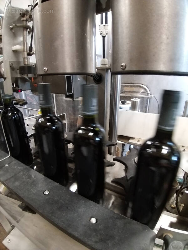 Commerce à COTIGNAC