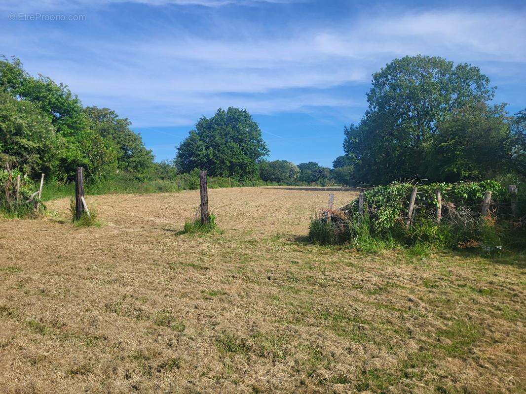 Maison à LA CHAPELLE-VICOMTESSE