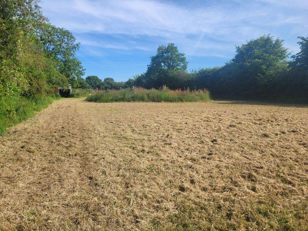 Maison à LA CHAPELLE-VICOMTESSE