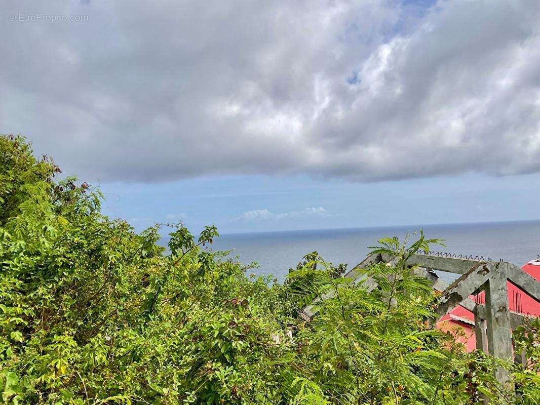 Terrain à VIEUX-FORT