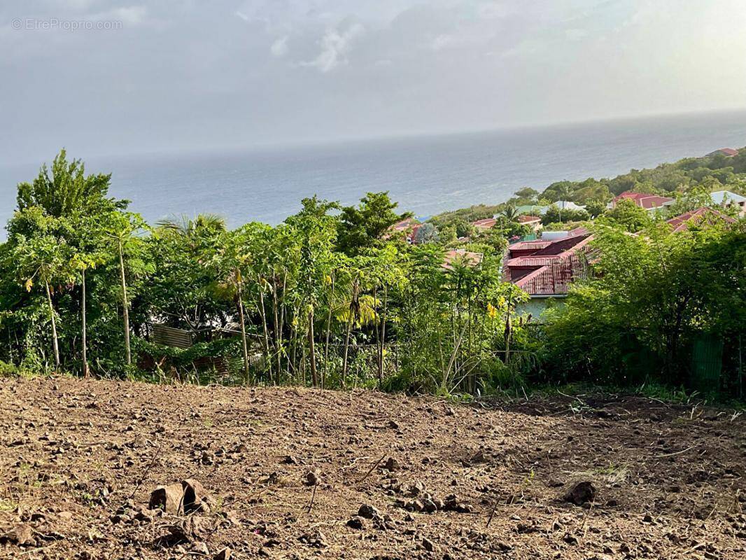 Terrain à VIEUX-FORT