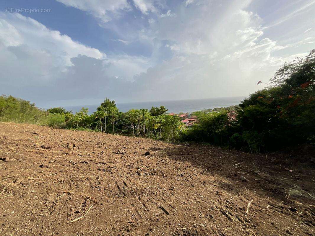 Terrain à VIEUX-FORT