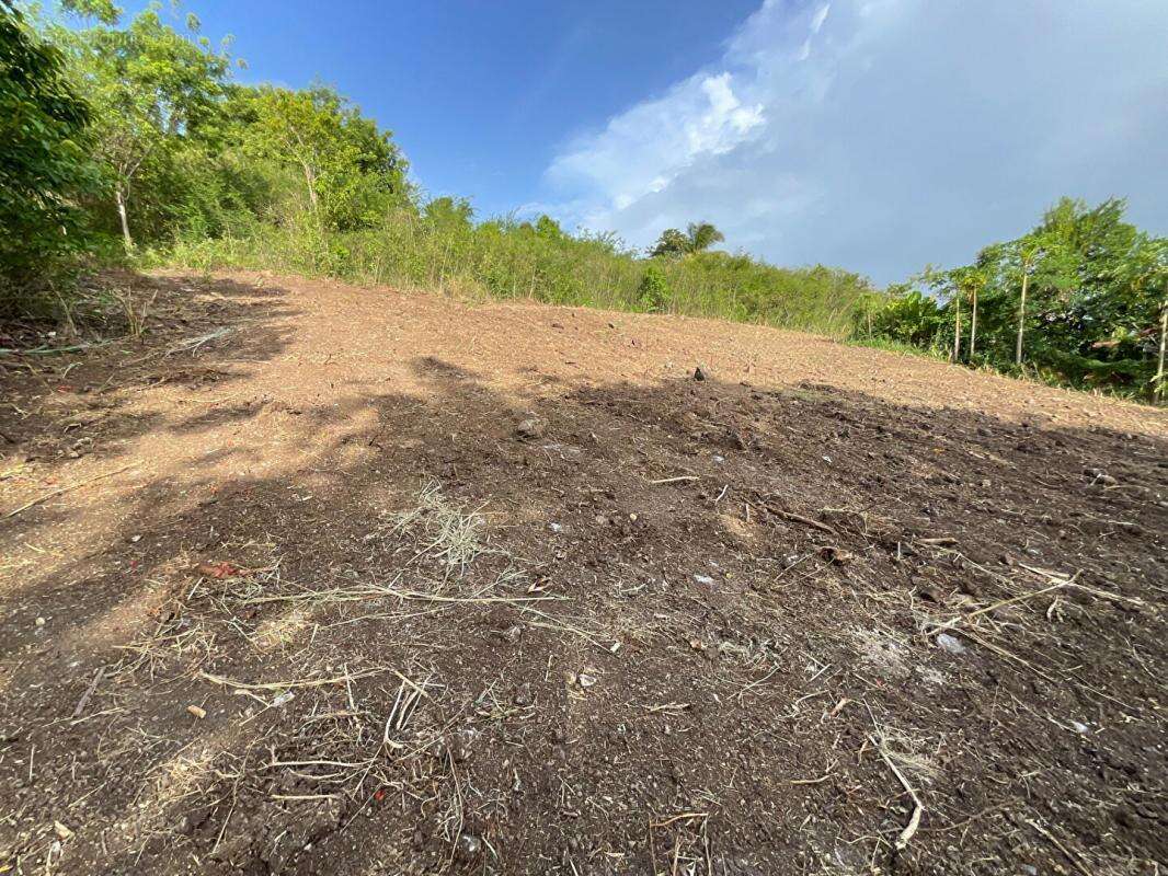 Terrain à VIEUX-FORT