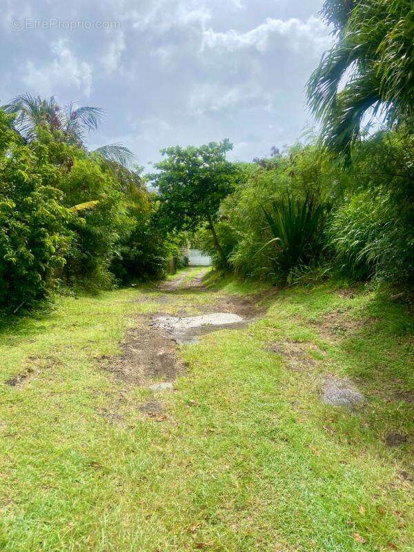 Terrain à VIEUX-FORT