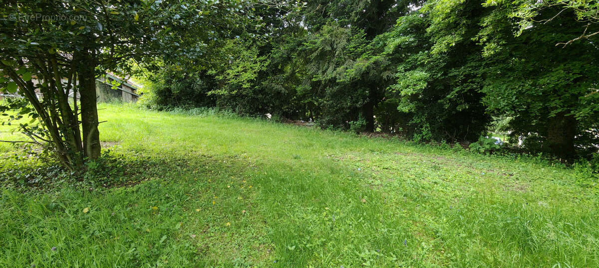 Terrain à RAON-SUR-PLAINE