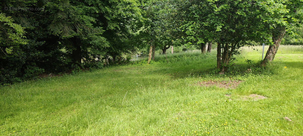 Terrain à RAON-SUR-PLAINE