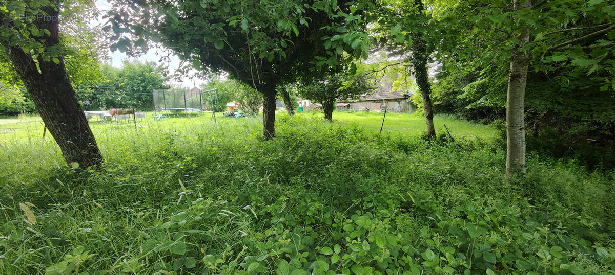 Terrain à RAON-SUR-PLAINE