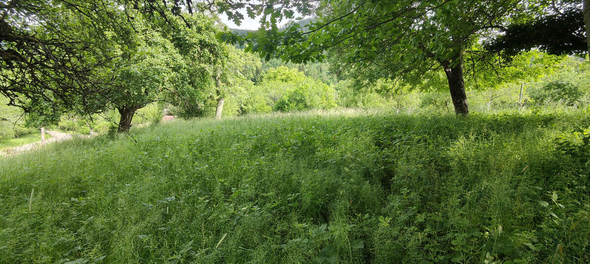 Terrain à RAON-SUR-PLAINE
