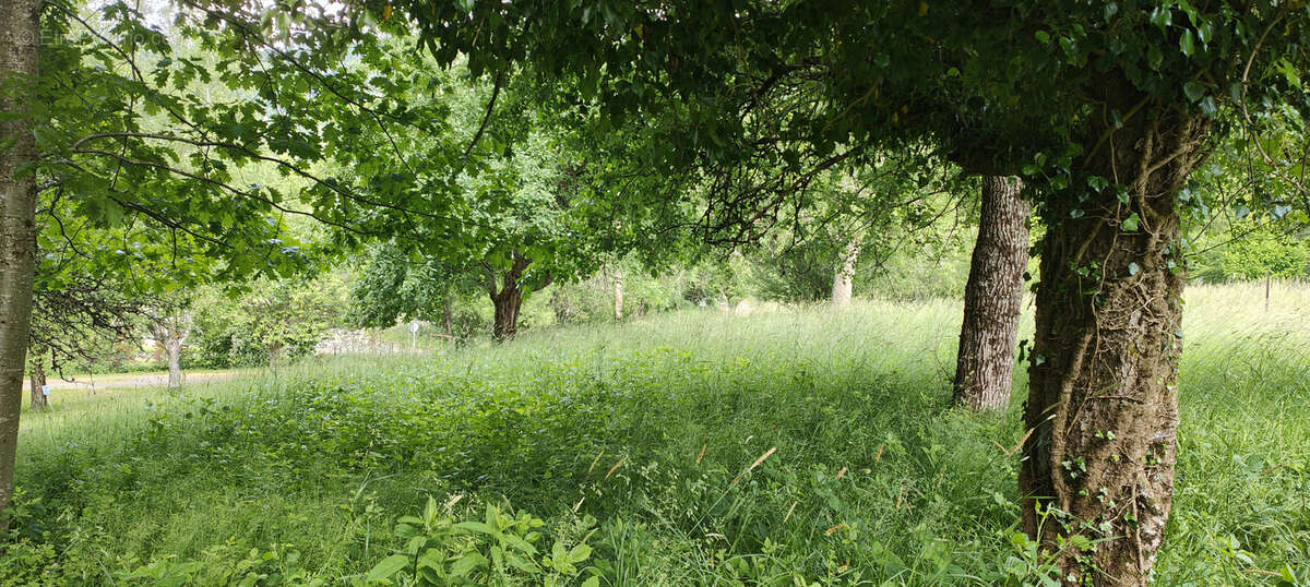 Terrain à RAON-SUR-PLAINE