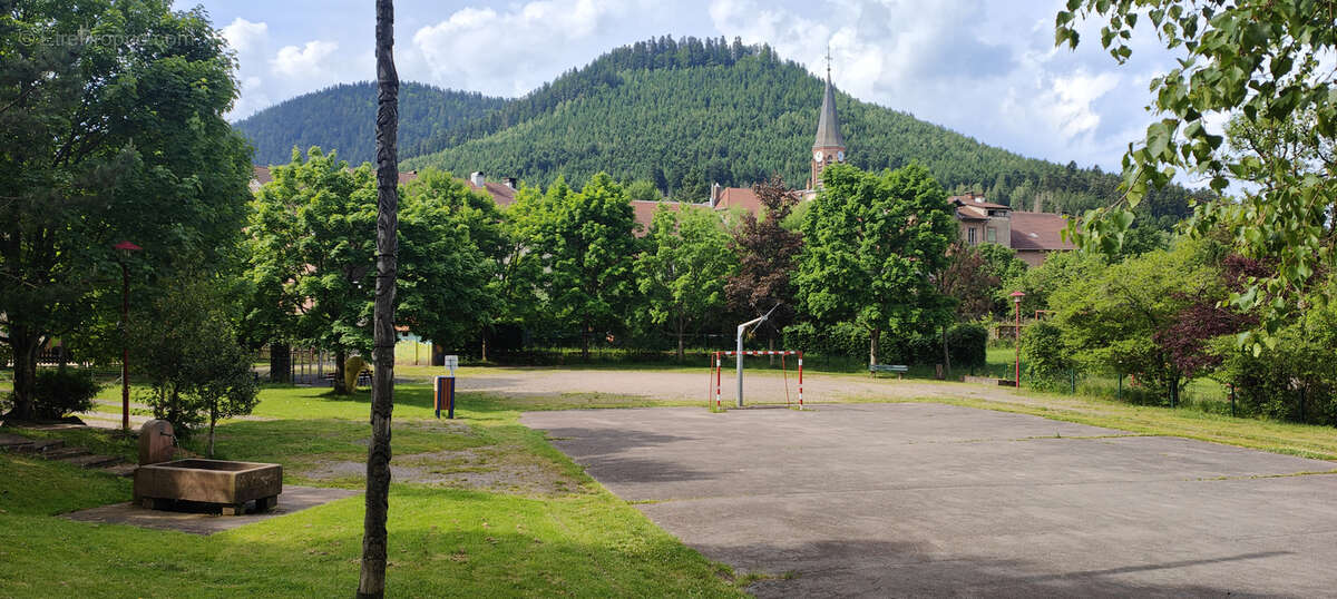 Terrain à RAON-SUR-PLAINE
