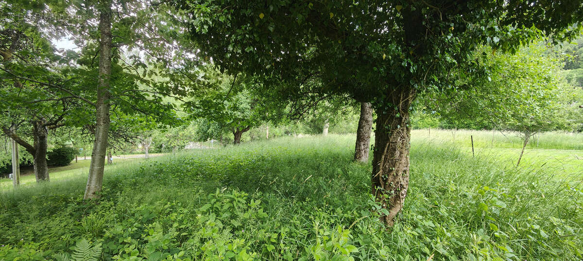 Terrain à RAON-SUR-PLAINE