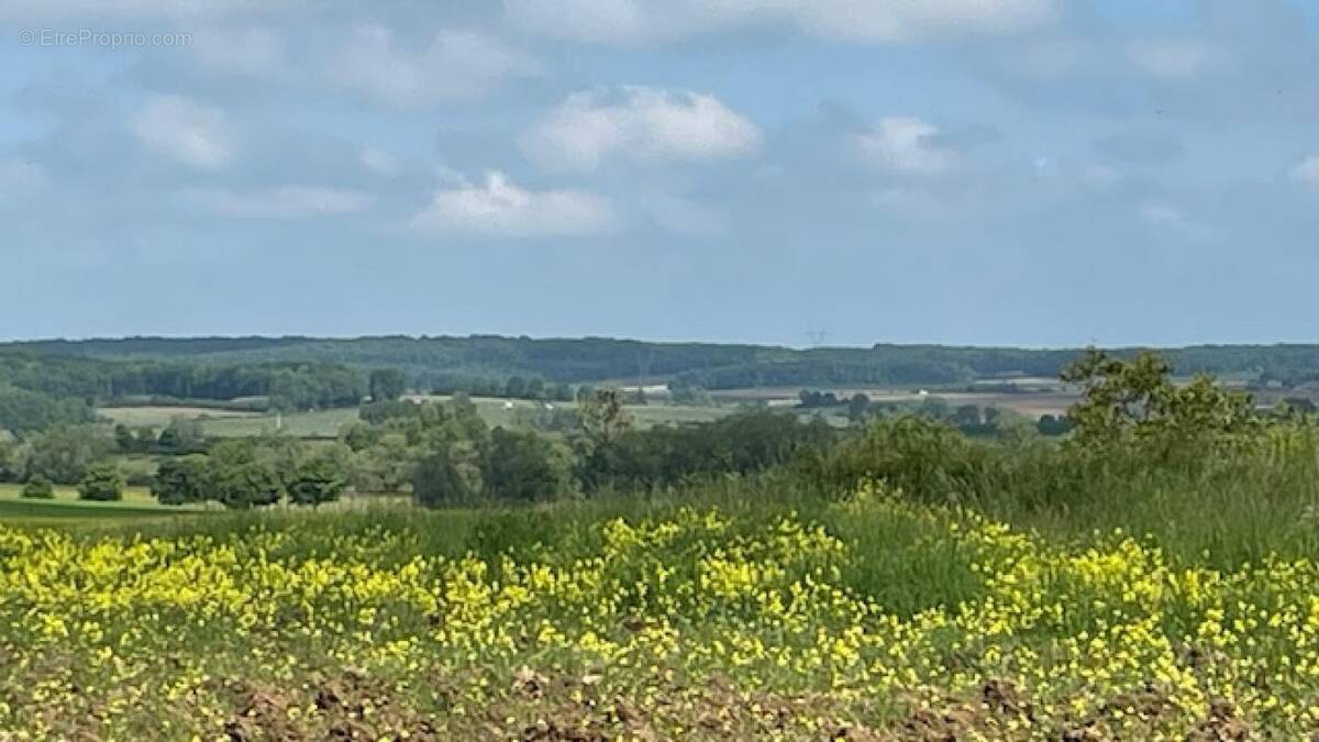 Terrain à HARAUCOURT
