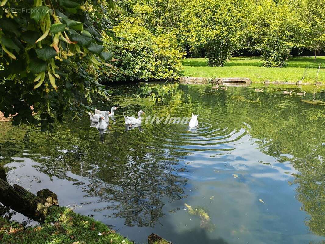 4260 80 - Maison à HESDIN