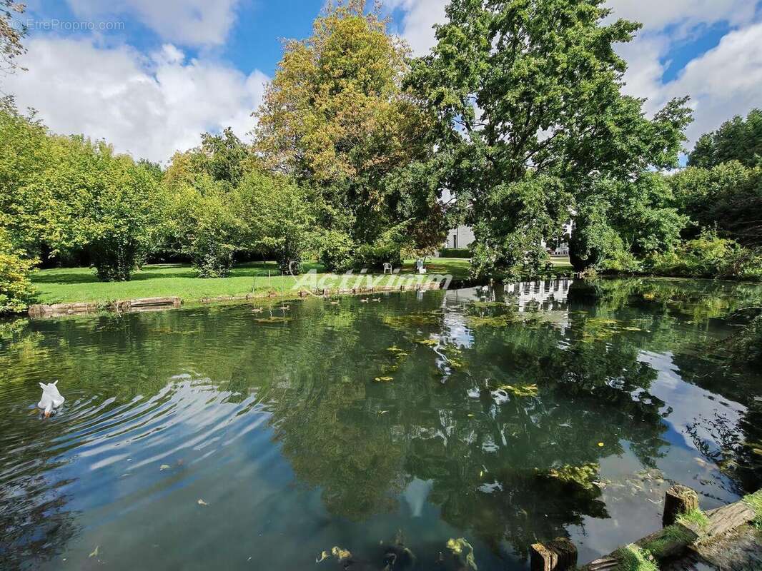 4260 81 - Maison à HESDIN