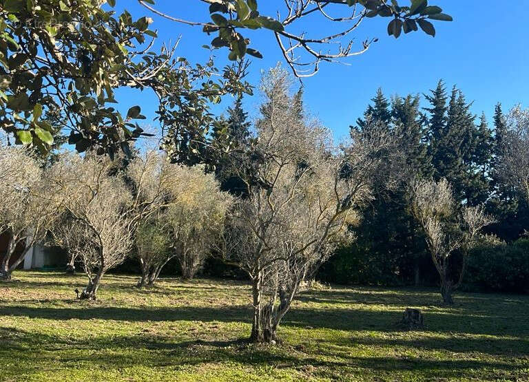 Maison à FONTVIEILLE