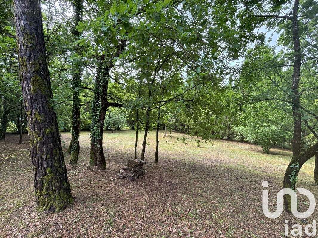 Photo 3 - Terrain à BASSILLAC