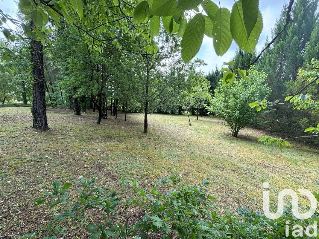 Photo 7 - Terrain à BASSILLAC