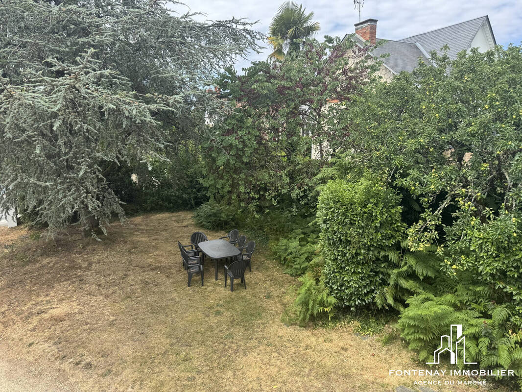 Maison à FONTENAY-LE-COMTE