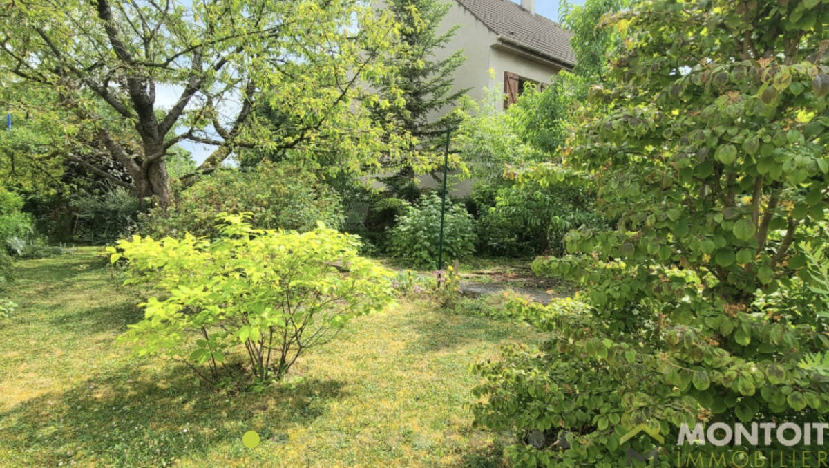 Terrain à CHOISY-LE-ROI