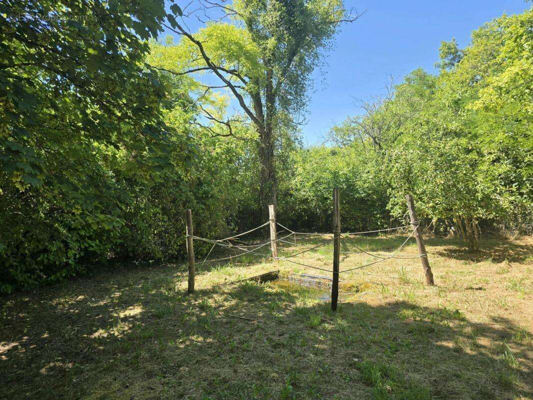 Maison à VERTEILLAC