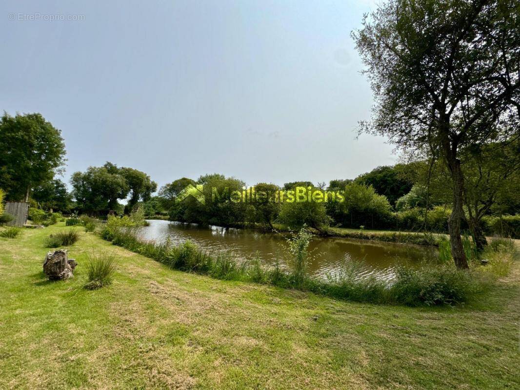 Terrain à SAINT-BERTHEVIN