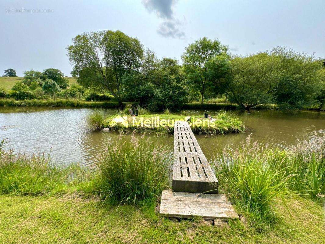 Terrain à SAINT-BERTHEVIN