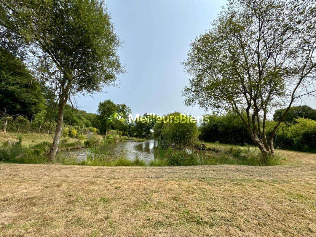 Terrain à SAINT-BERTHEVIN