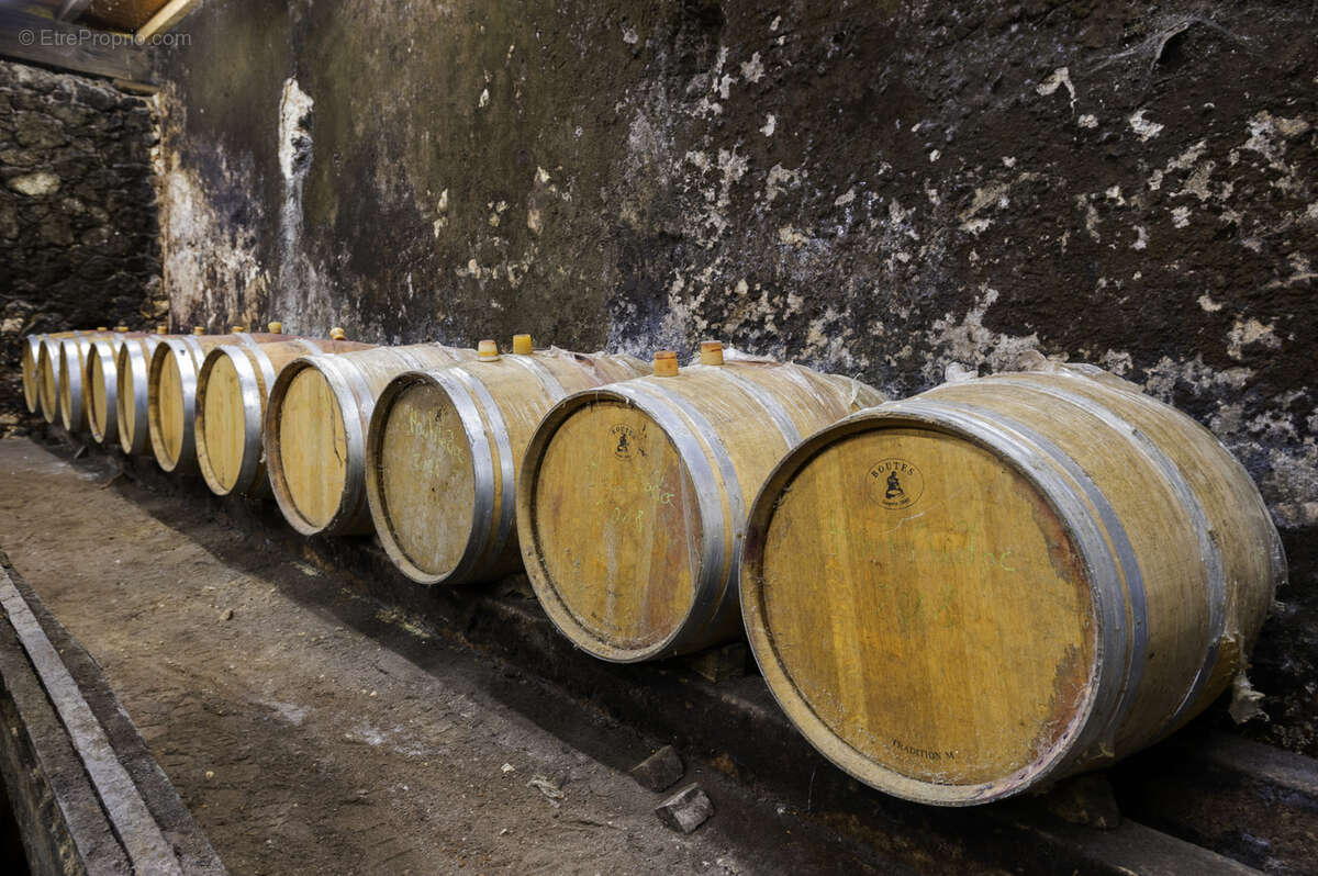 Maison à SAINT-SAUVEUR