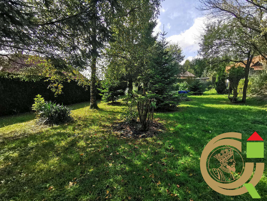 Maison à ROLLANCOURT