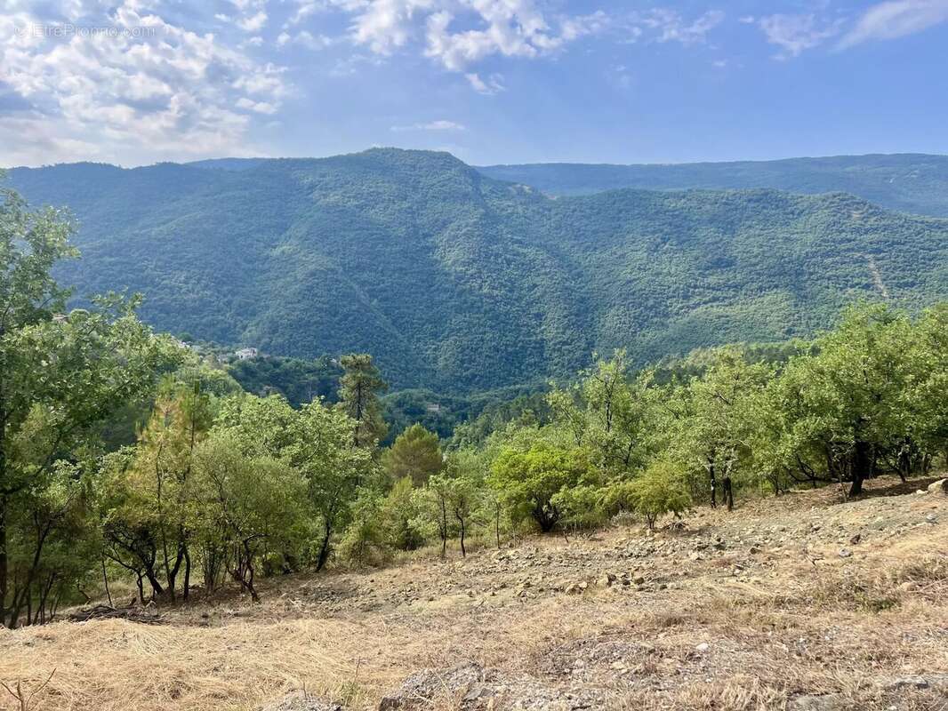 Terrain à PIERREFEU