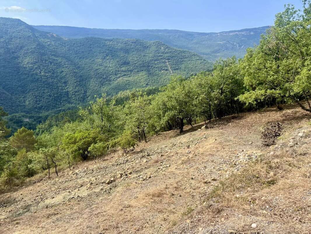 Terrain à PIERREFEU